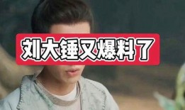 刘大锤最新爆料中午,中午惊人内幕大揭秘！