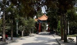 郑州碧沙岗公园爆料视频,揭秘公园背后的故事