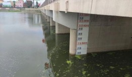 最新王家坝爆料,揭秘背后惊人真相